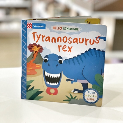 Dostosowany rozmiar Pełnokolorowa książeczka z dinozaurami dla dzieci