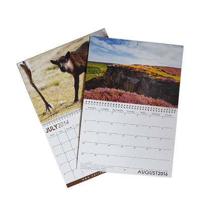 Różne rozmiary C2S Art Paper Druk kalendarza 128 g / m2 157 g / m2 190 g / m2 210 g / m2